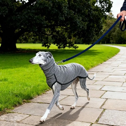 Pet dog winter high collar - dog,