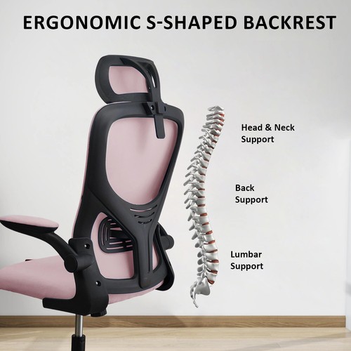 Ergonomic mesh office - mesh, chair