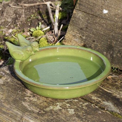 Olive green glaze - glaze, bird