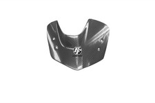 Carbon windshield for BMW K