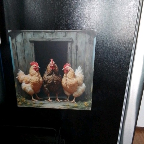 Cute hen house - hen, dishwasher