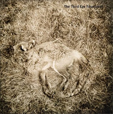 The Third Eye Foundation Semtex (CD) 20th Anniversary  Album