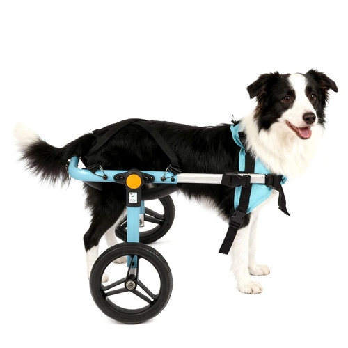 Dog wheelchair for - dog, back