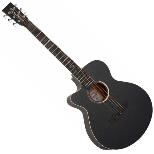 Tanglewood blackbird left - tanglewood,