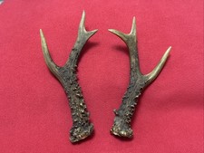 PAIR OF FANCY ROE DEER ANTLERS
