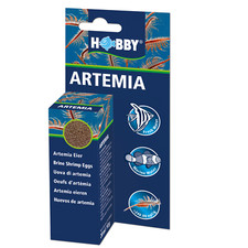 Hobby Artemia brine shrimp