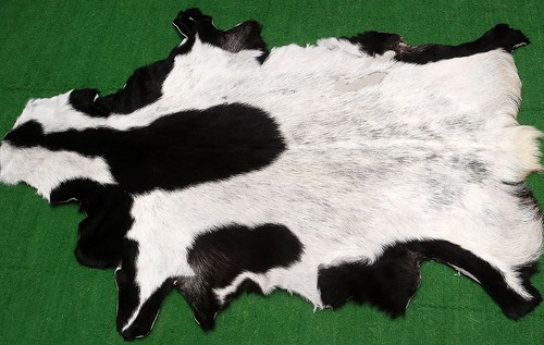New goat hide rug - rug, area