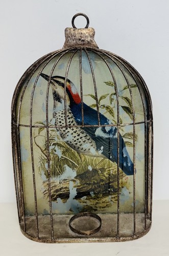 Vintage woodpecker in - 60's,