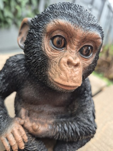 Vivid arts mini chimp - vivid,