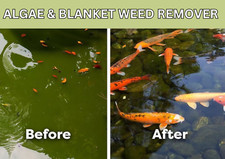 Blanket Weed Treatment Safe