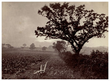 Frank Meadow Sutcliffe, Plow