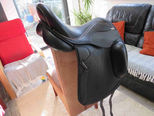 Dressage saddle winners - dressage, saddle,