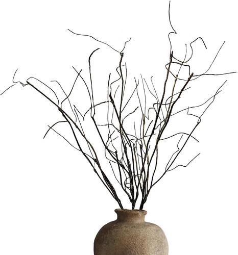 Bendable curly willow branches - willow,
