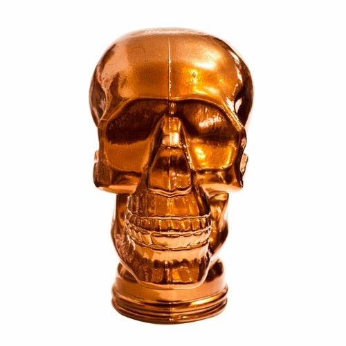 Glass skull display head - skull,