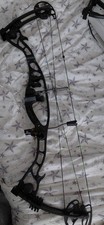 Martin Hawk Compound Bow