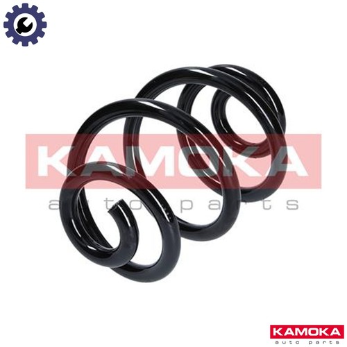 Suspension spring 2120006 - suspension,