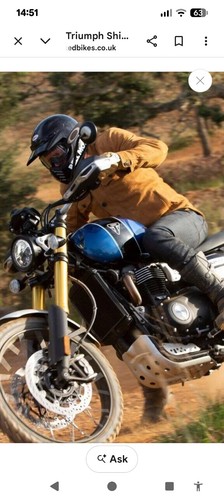 Triumph scrambler leather - ,