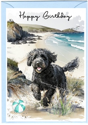 Labradoodle doodle dog - labradoodle,