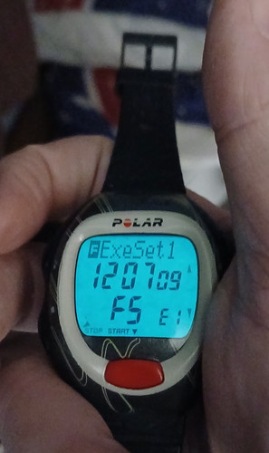 Vintage polar s210 heart rate - heart,