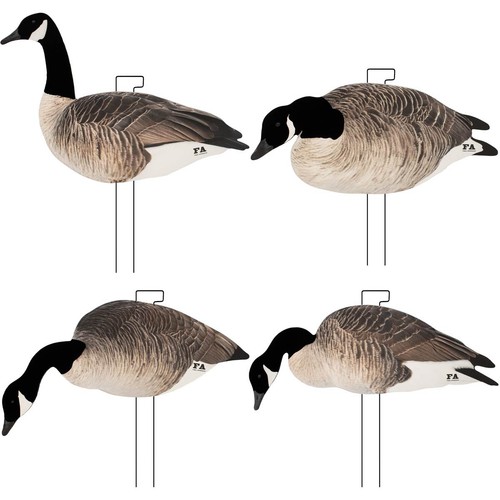 Canada goose silhouette decoys - canada,