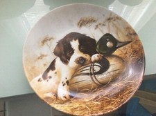 1987 Springer Spaniel PUP Edwin Knowles Vintage Collector Plate DOG TIRED