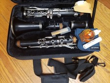 Crazy Cheap Buffet Crampon R13 Clarinet! Valentino Overhaul, New Case, Extras!
