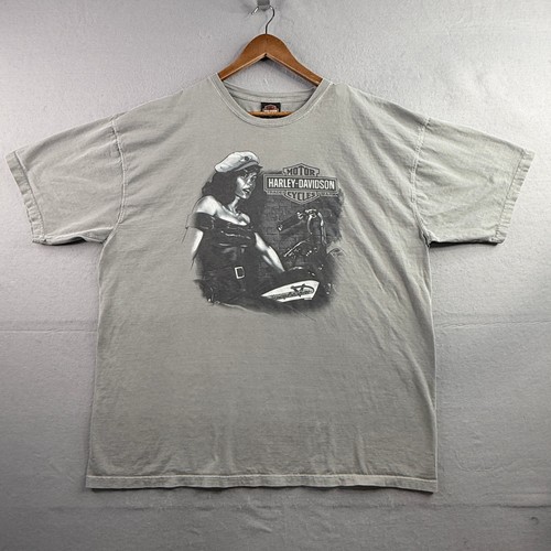 Harley davidson shirt 2xl gray - davidson,