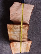 3 x Woodturning  blanks, WILD
