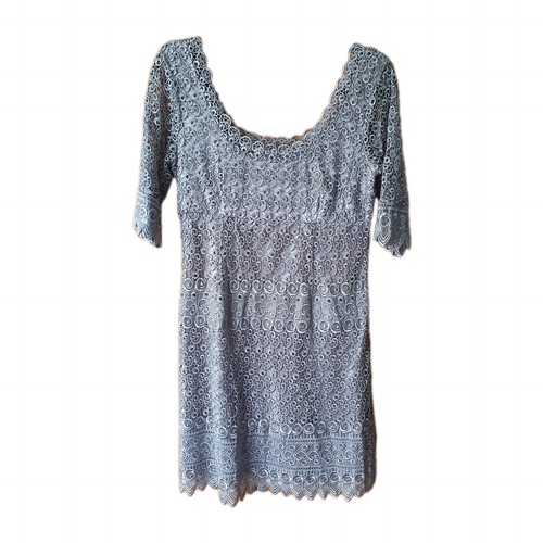 Coast silver grey guipure - coast,