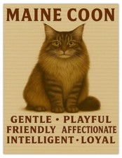 Maine Coon Cat Traits Cute Home Decor Large Metal Fridge Magnet Gift 139x107mm