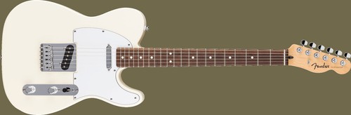 Fender standard series - fender,