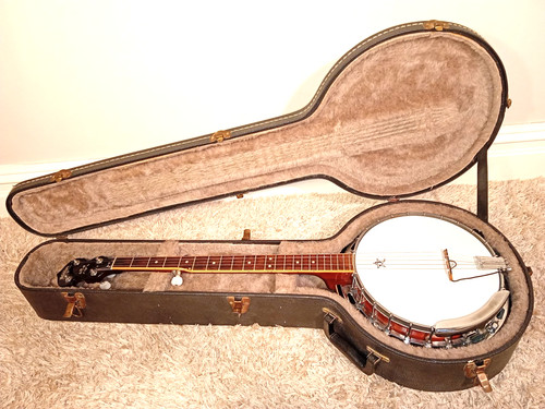 Vintage washburn 5 string - washburn, 5-string