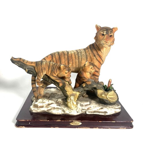 Juliana collection tiger - collection,