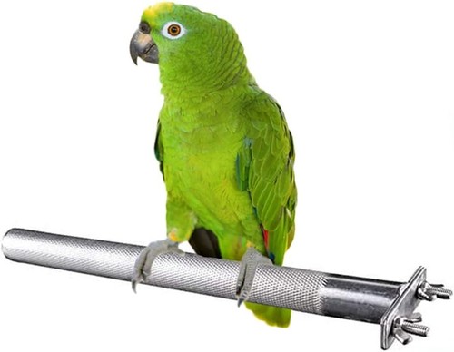 Stainless steel large - stainless,