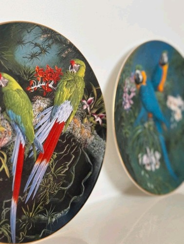 Wedgwood fragile paradise - wedgwood,