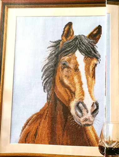 Horse riding rocking - horse,