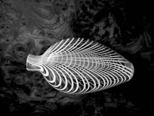  19th century Nailsea glass flask with white combed decoration Art Glass