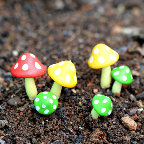 Diy fairy garden - fairy,