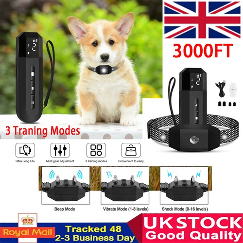 Anti bark electric - shock, pet