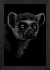 ring tailed lemur Framed Wall
