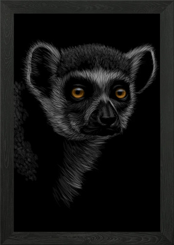 Ring tailed lemur - ring, framed