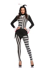 Ladies Jester Costume Womens