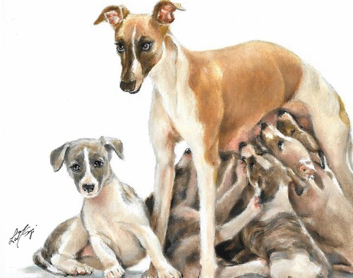 Original oil puppy dog - original,