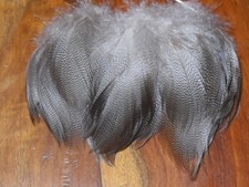 30 SMALL BRONZE  MALLARD DUCK FEATHERS,FLY TYING,HAIR JEWELLERY ART & CRAFT