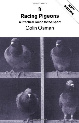 Racing pigeons practical - pigeons:,