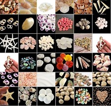 Natural Beach Shells Seashells Starfish Conch Cockle Art Craft Shell Stash Packs