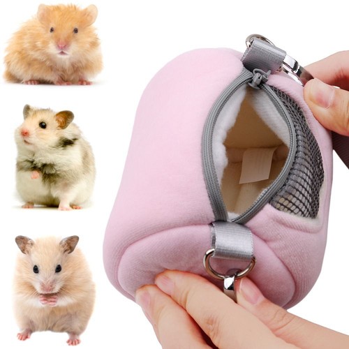 Small animals hamster - animals,
