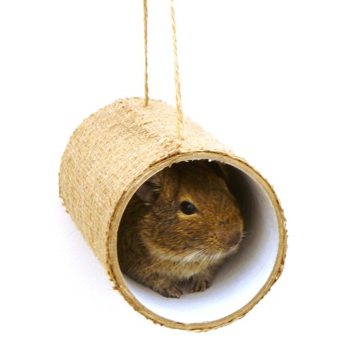 Premium chewchewbs pet cage - premium,