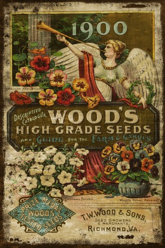 Wood seeds gardening advert - wood's,
