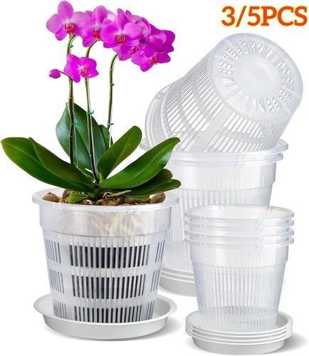 Clear orchid pot - clear, pot,